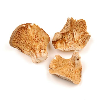 Dried Oyster