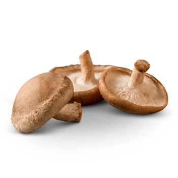 Shiitake Mushrooms