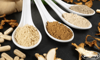 Medicinal Mushroom Powders